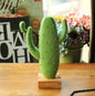 Nordic home decoration